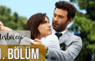 Ateşböceği episode 1 english subtitles.