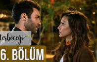 Ateşböceği episode 16 english subtitles.