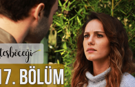 Ateşböceği episode 17 english subtitles.