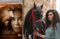 Turkish series Hercai episode 10 english subtitles