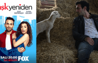 Turkish series Aşk Yeniden episode 19 english subtitles