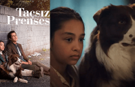 Turkish series Taçsız Prenses episode 12 english subtitles
